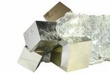Five Gleaming Pyrite Cubes In Rock - Navajun, Spain #361777-2